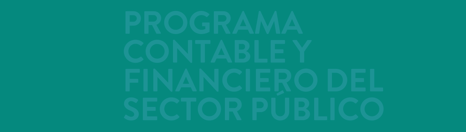 Programa Contable y Financiero del Sector Público